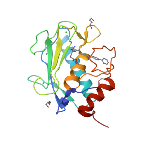 Rcsb Pdb 3tvc Human Mmp13 In Complex With L Glutamate Motif Inhibitor