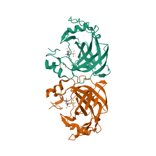 Rcsb Pdb 5tv3 Crystal Structure Of The Complex Of Helicobacter Pylori Alpha Carbonic Anhydrase With E 5 4 Tert Butyl Phenyl Sulfonyl Imino 4 Methyl 4 5 Dihydro 1 3 4 Thiadiazole 2 Sulfonamide