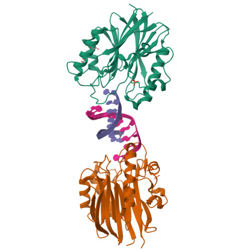 Rcsb Pdb 5tvp Sumo2 Bound To Mouse Tdp2 Catalytic Domain With A 5 Phosphorylated Dna Ternary Complex