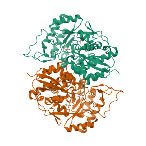 Rcsb Pdb 3twa Crystal Structure Of Gluconate Dehydratase Target Efi From Salmonella Enterica Subsp Enterica Serovar Enteritidis Str P Complexed With Magnesium And Glycerol