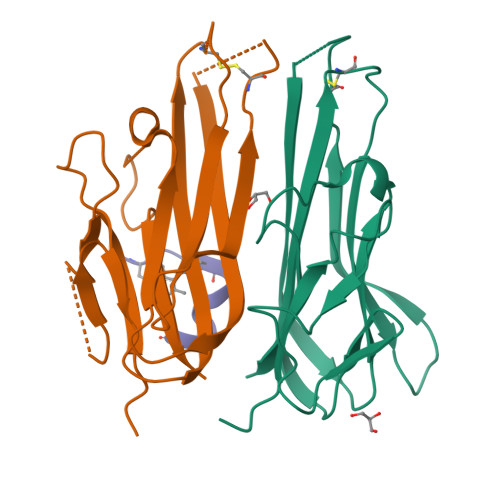 Rcsb Pdb 4twt Human Tnfa Dimer In Complex With The Semi Synthetic Bicyclic Peptide M21