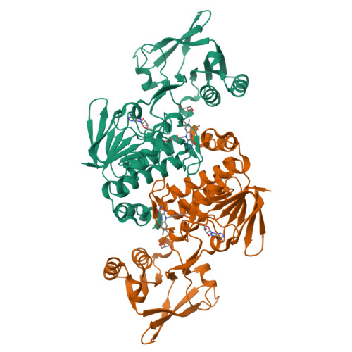Protein Data Bank: 5TWB