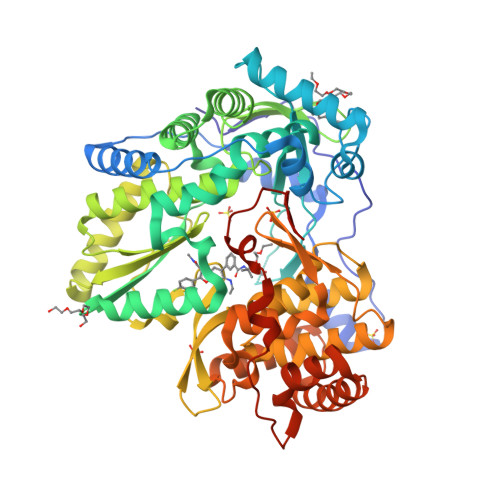 Rcsb Pdb 5twm Crystal Structure Of The Hepatitis C Virus Genotype 2a Strain Jfh1 L30s Ns5b Rna Dependent Rna Polymerase In Complex With 5 3 Tert Butylcarbamoyl Phenyl 6 Ethylamino 2 4 Fluorophenyl N Methylfuro 2 3 B Pyridine 3 Carboxamide