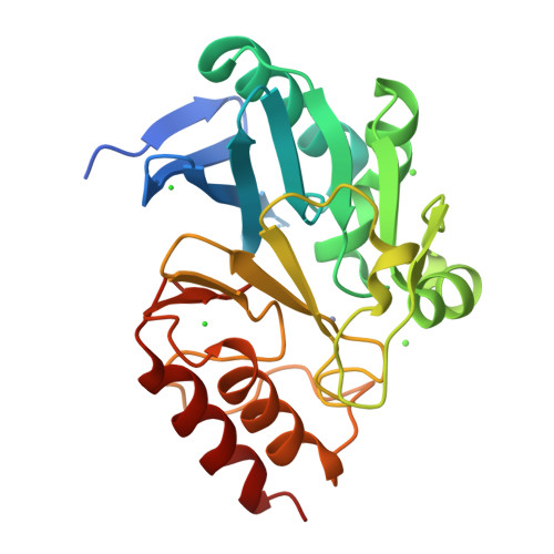 Rcsb Pdb 6twt Crystal Structure Of N Terminally Truncated Ndm 1 Metallo Beta Lactamase