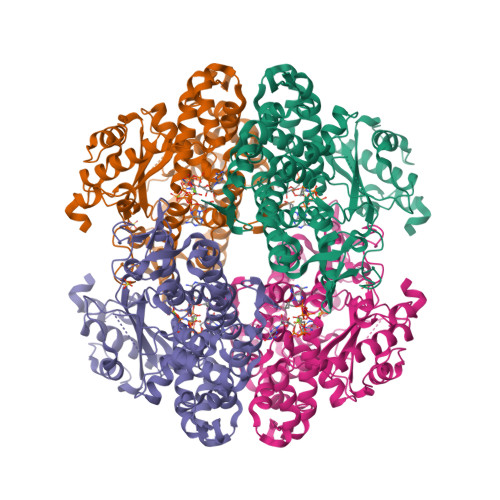 Rcsb Pdb 6txe Crystal Structure Of Tetrameric Human Wt Samhd1 Residues 109 626 With Gtp Datp Dtmpnpp And Mg