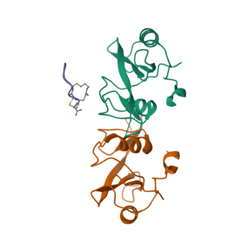 Rcsb Pdb 5tyi Grb7 Sh2 With Bicyclic Peptide Containing Py Mimetic