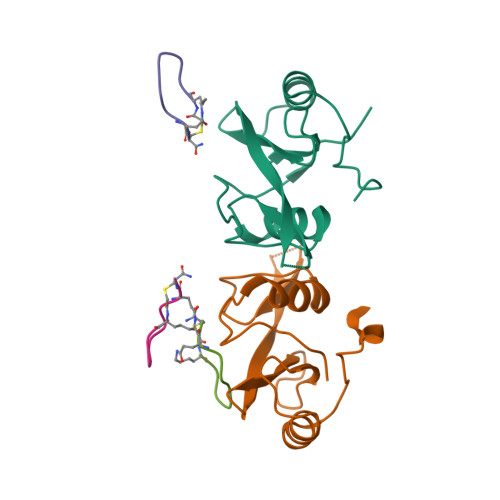 Rcsb Pdb 5tyi Grb7 Sh2 With Bicyclic Peptide Containing Py Mimetic