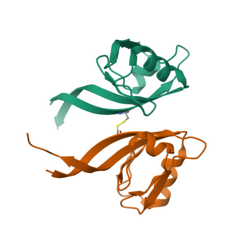 Rcsb Pdb 5tyt Crystal Structure Of The Pdz Domain Of Rhogef Bound To Cxcr2 C Terminal Peptide