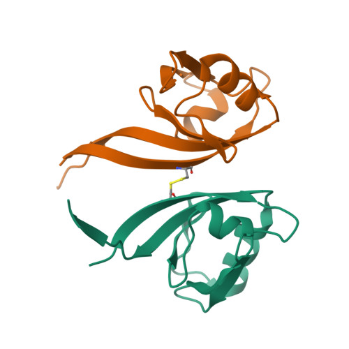 Rcsb Pdb 5tyt Crystal Structure Of The Pdz Domain Of Rhogef Bound To Cxcr2 C Terminal Peptide