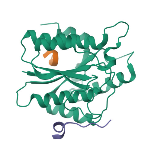 Rcsb Pdb 6tyt Structure Of Ku80 Von Willebrand Domain S229a Mutant Complexed With Aplf And Xlf Ku Binding Motif