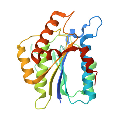 Rcsb Pdb 6tyt Structure Of Ku80 Von Willebrand Domain S229a Mutant Complexed With Aplf And Xlf Ku Binding Motif