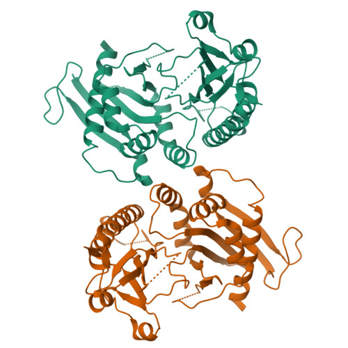 Rcsb Pdb 4tz7 Crystal Structure Of Type I Phosphatidylinositol 4 Phosphate 5 Kinase Alpha From Zebrafish