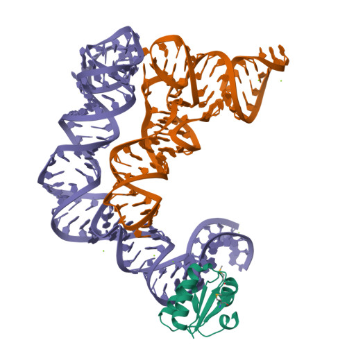 4TZZ assembly