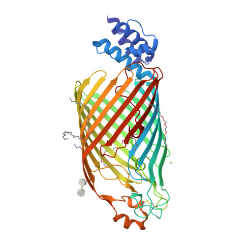 Rcsb Pdb 6tzk Bacterial Cellulose Synthase Outermembrane Channel sc With Terminal Tpr Repeat