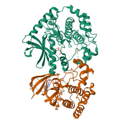 Rcsb Pdb 6u2g Braf Mek Complex With Amp Pcp Bound To Braf