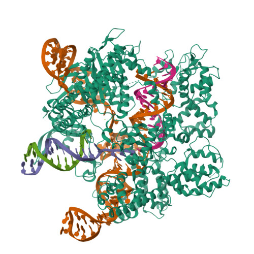 8U3Y assembly