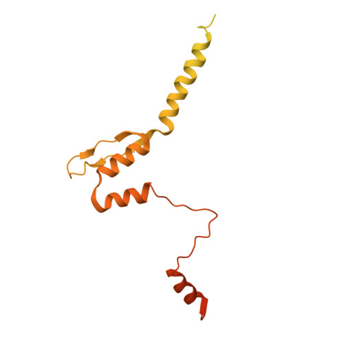 Rcsb Pdb 6u5o Structure Of The Human Metapneumovirus Polymerase Bound To The Phosphoprotein Tetramer