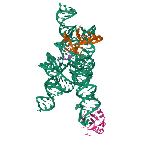 1U6B assembly