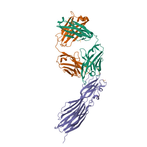 Protein Data Bank: 4U6V