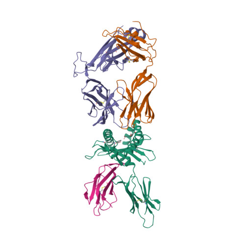 Rcsb Pdb 5u6q Structure Of Human Mr1 3 F Sa In Complex With Human Mait A F7 Tcr