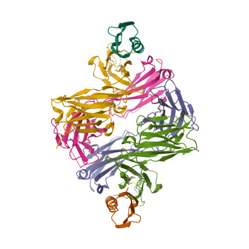 Rcsb Pdb 6u8c Crystal Structure Of An Engineered Ultra High Affinity Fab Protein G Complex