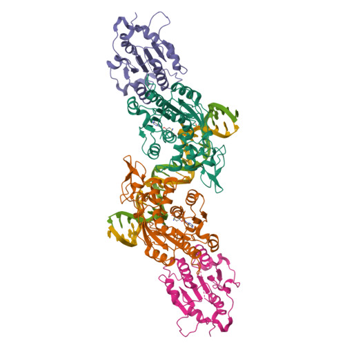 Rcsb Pdb 6u8x Crystal Structure Of Dnmt3b Dnmt3l In Complex With Cpapg Dna