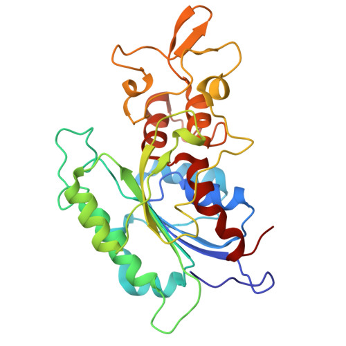 Rcsb Pdb 6u8x Crystal Structure Of Dnmt3b Dnmt3l In Complex With Cpapg Dna