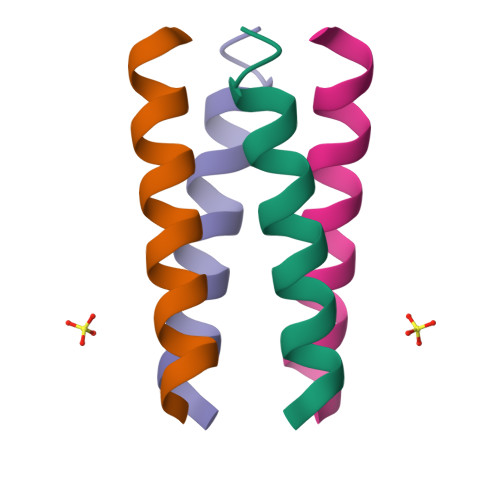 Rcsb Pdb 1u9g Heterocyclic Peptide Backbone Modification In Gcn4 Pli Based Coiled Coils Replacement Of K 8 L 9