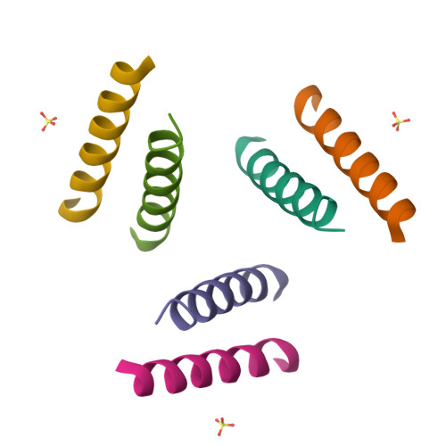 Rcsb Pdb 1u9g Heterocyclic Peptide Backbone Modification In Gcn4 Pli Based Coiled Coils Replacement Of K 8 L 9