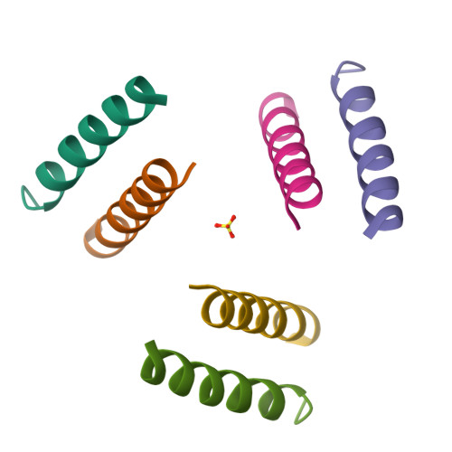 Rcsb Pdb 1u9g Heterocyclic Peptide Backbone Modification In Gcn4 Pli Based Coiled Coils Replacement Of K 8 L 9