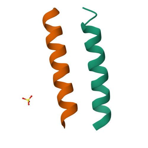 Rcsb Pdb 1u9g Heterocyclic Peptide Backbone Modification In Gcn4 Pli Based Coiled Coils Replacement Of K 8 L 9