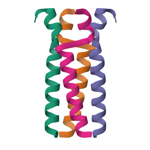 Rcsb Pdb 1u9h Heterocyclic Peptide Backbone Modification In Gcn4 Pli Based Coiled Coils Replacement Of E 22 L 23