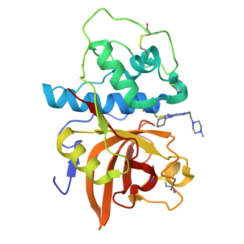 Rcsb Pdb 1u9v Crystal Structure Of The Cysteine Protease Human Cathepsin K In Complex With The Covalent Inhibitor Nvp Abe854