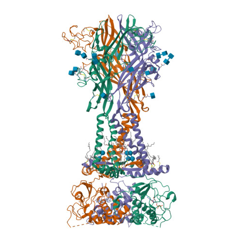 Rcsb Pdb 6u9v Cryo Electron Microscopy Structure Of The Atp Gated Rat P2x7 Ion Channel In The Apo Closed State