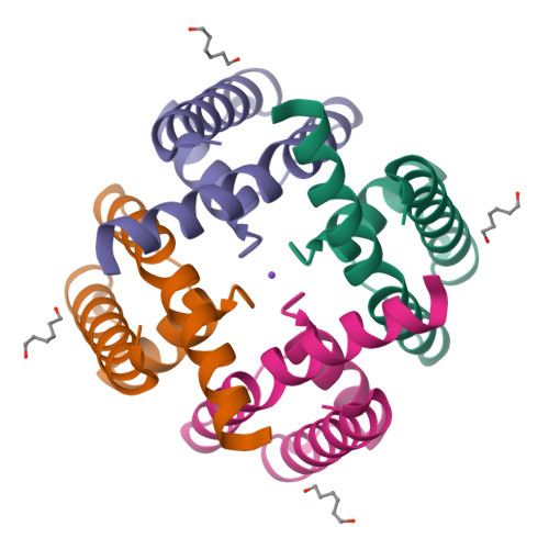 Rcsb Pdb 6u9y Wild Type Mthk Pore In 11 Mm K