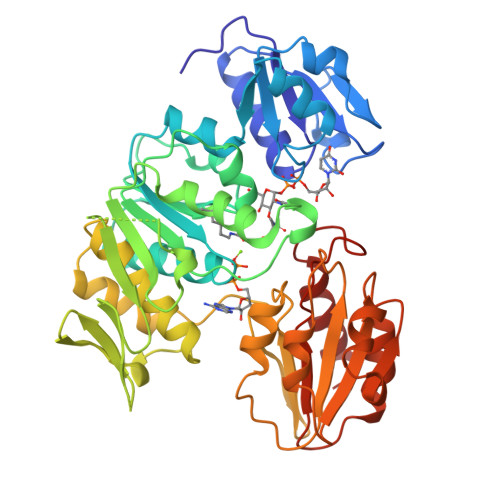 Rcsb Pdb 2uag Udp N Acetylmuramoyl L Alanine D Glutamate Ligase