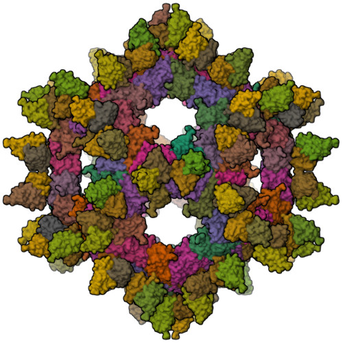 Rcsb Pdb 4udf Structural Basis Of Human Parechovirus Neutralization By Human Monoclonal Antibodies