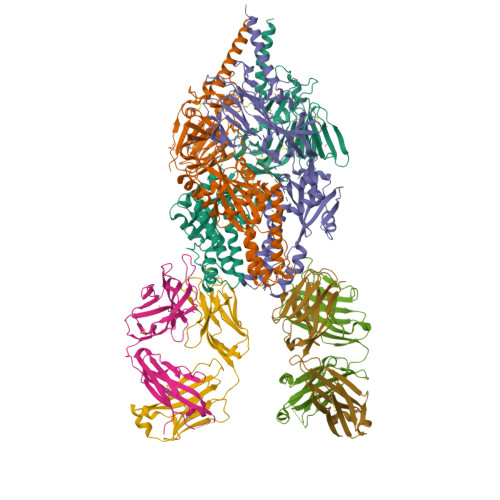 Rcsb Pdb 5udd Crystal Structure Of Rsv F B9320 Bound To Medi8897