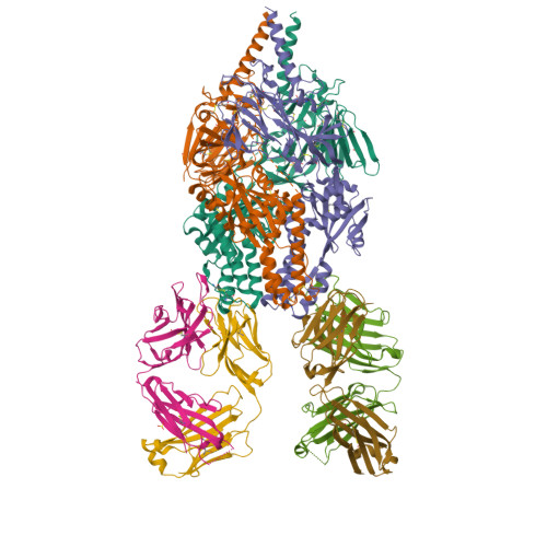 Rcsb Pdb 5udd Crystal Structure Of Rsv F B9320 Bound To Medi8897