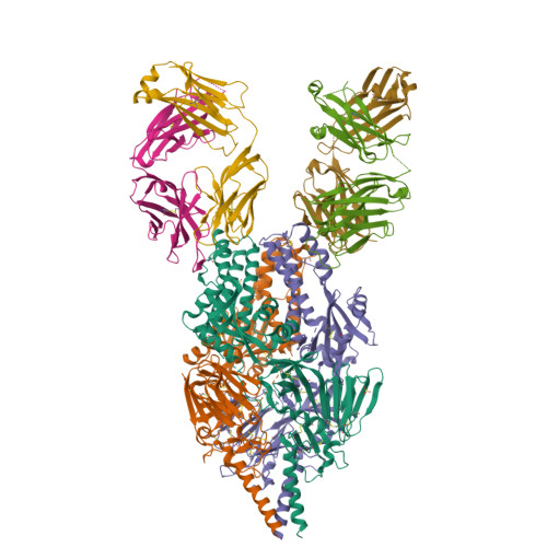 Rcsb Pdb 5udd Crystal Structure Of Rsv F B9320 Bound To Medi8897