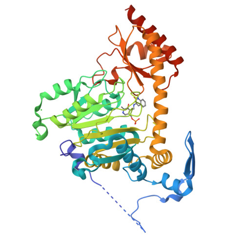 Rcsb Pdb 3ue8 Kynurenine Aminotransferase Ii Inhibitors