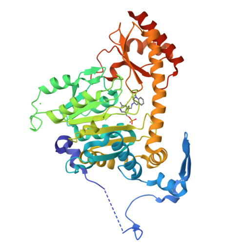 Rcsb Pdb 3ue8 Kynurenine Aminotransferase Ii Inhibitors