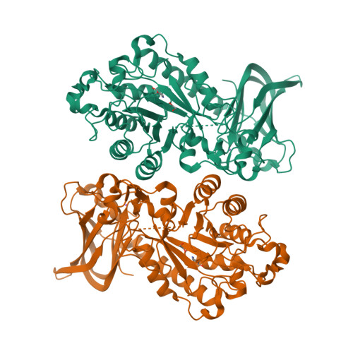 Rcsb Pdb 3ues Crystal Structure Of Alpha 1 3 4 Fucosidase From Bifidobacterium Longum Subsp Infantis Complexed With Deoxyfuconojirimycin