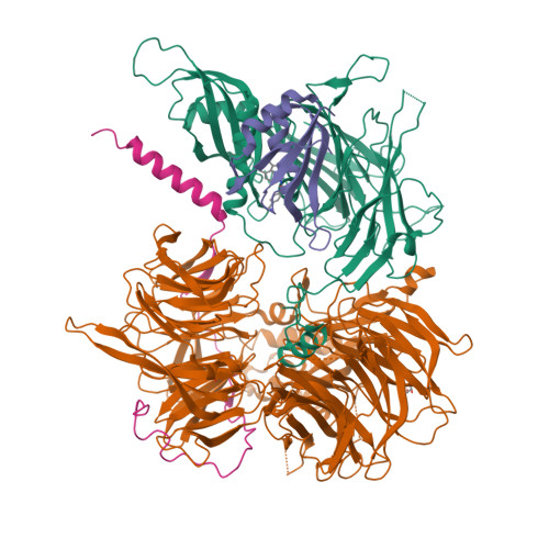 Rcsb Pdb 6ue5 Crystal Structure Of Full Length Human Dcaf15 Ddb1 Deltapbp Dda1 Rbm39 In Complex With 4 Aminomethyl N 3 Cyano 4 Methyl 1h Indol 7 Yl Benzenesulfonamide
