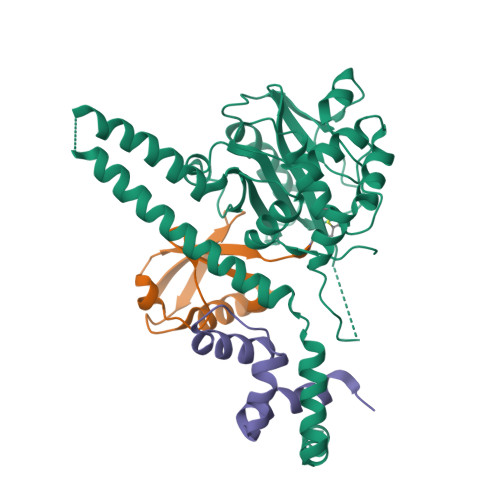 Rcsb Pdb 4uf6 Uch L5 In Complex With Ubiquitin Propargyl Bound To An Activating Fragment Of Ino80g