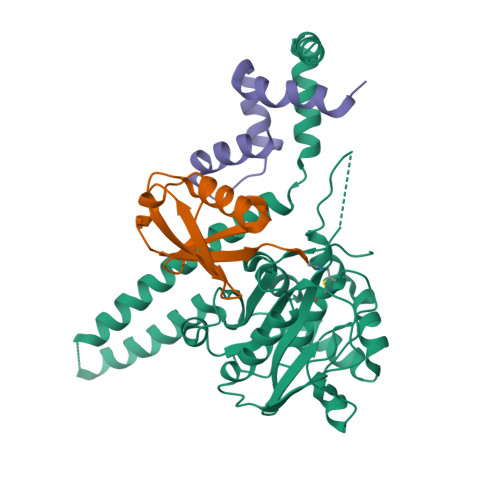 Rcsb Pdb 4uf6 Uch L5 In Complex With Ubiquitin Propargyl Bound To An Activating Fragment Of Ino80g