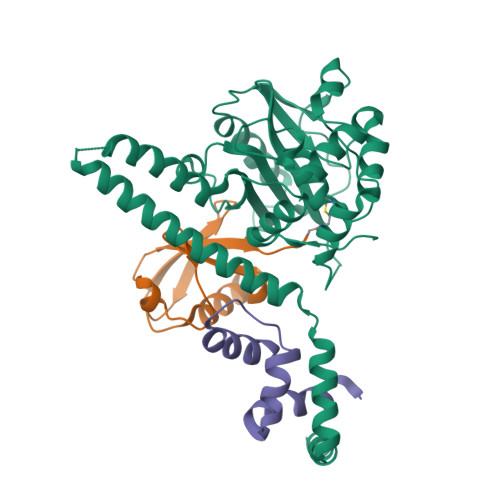 Rcsb Pdb 4uf6 Uch L5 In Complex With Ubiquitin Propargyl Bound To An Activating Fragment Of Ino80g