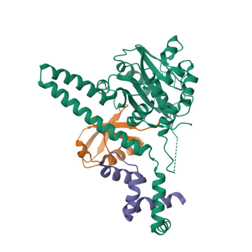 Rcsb Pdb 4uf6 Uch L5 In Complex With Ubiquitin Propargyl Bound To An Activating Fragment Of Ino80g