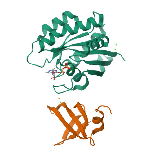 Rcsb Pdb 5ufq K Rasg12d Gnp R11 1 6 Complex