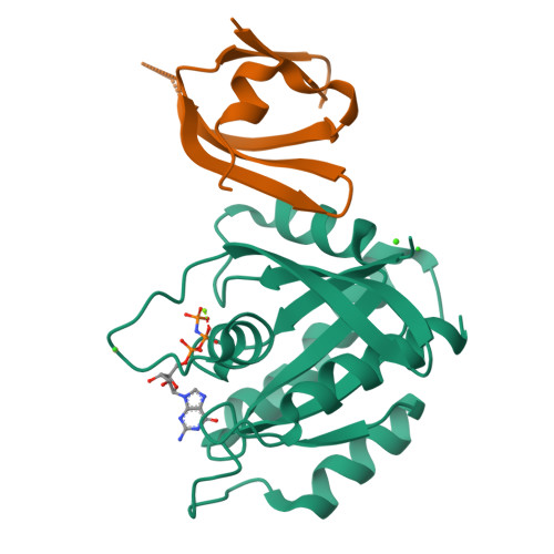 Rcsb Pdb 5ufq K Rasg12d Gnp R11 1 6 Complex